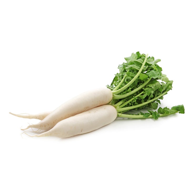 Daikon Radish
