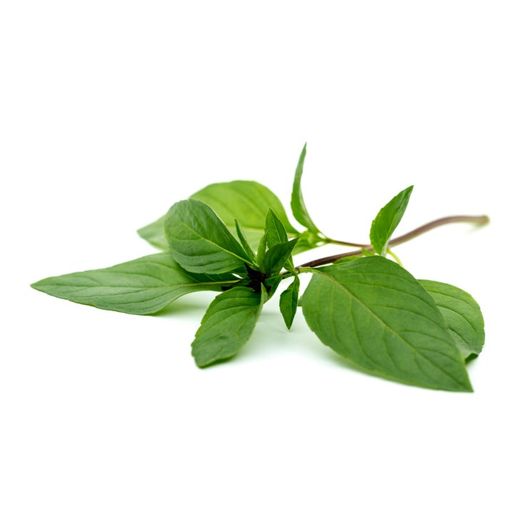 Thai basil