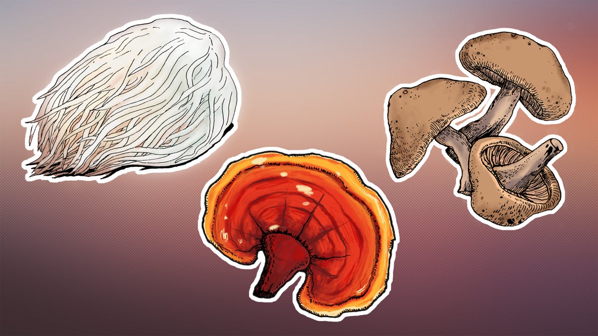 The Surprising Mental Health Benefits of Mushrooms - Clean Eating