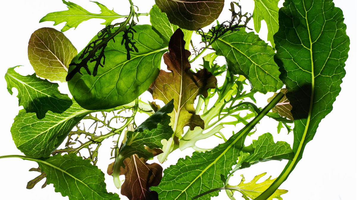 Your Questions About Storing Leafy Greens Answered