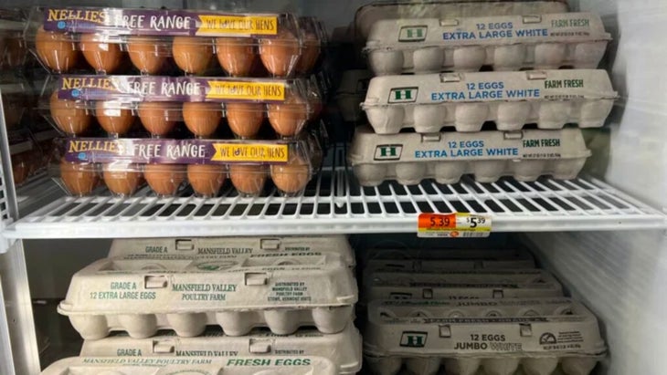 eggs