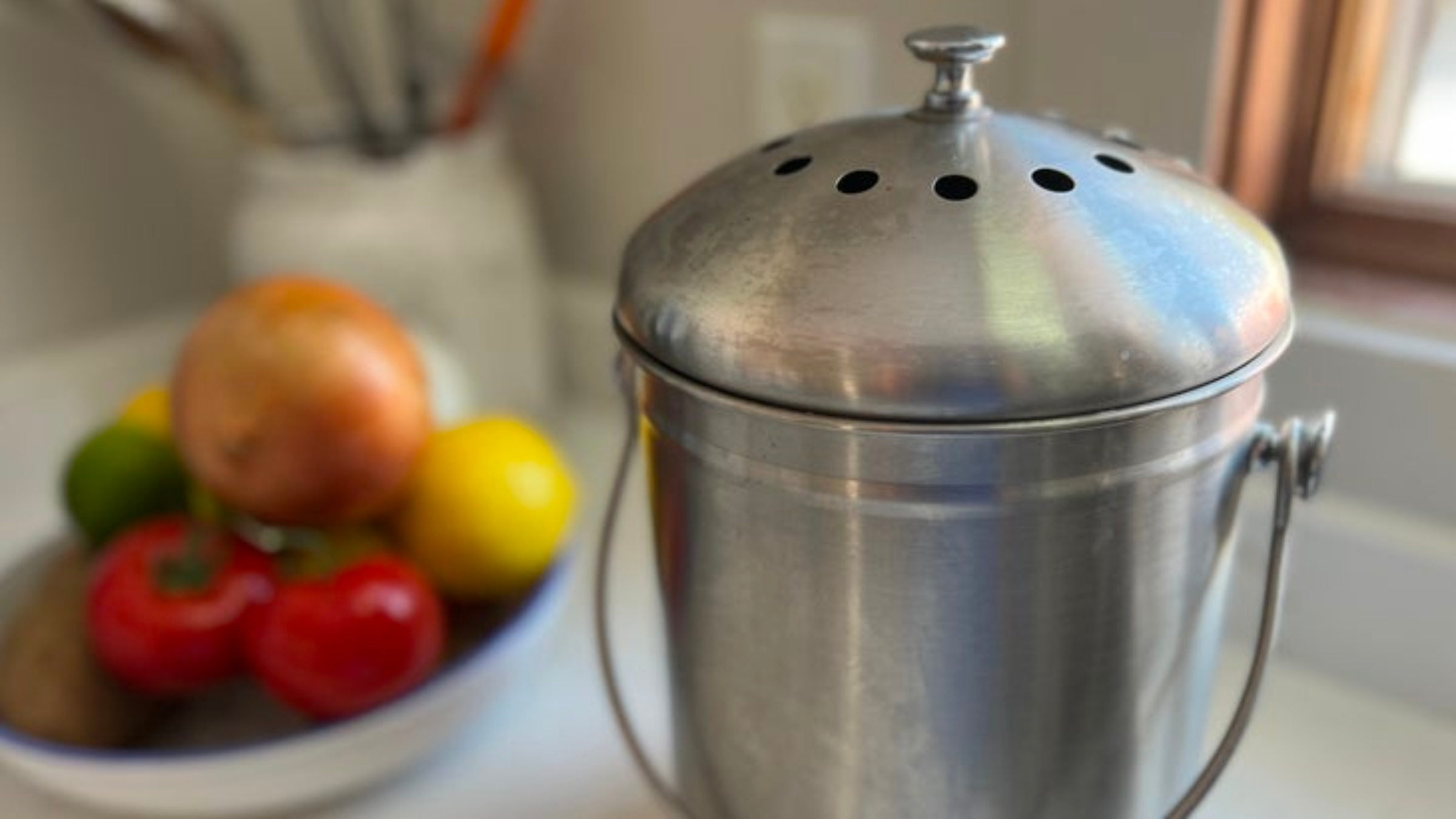 The Best Thing You Can Do for the Planet Is So Easy: Stop Throwing Away Food