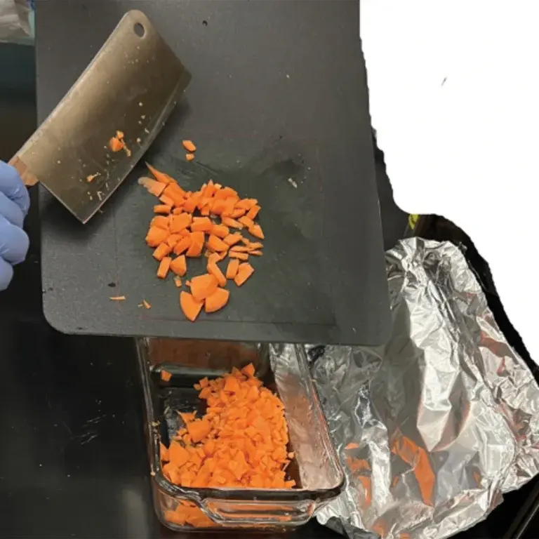 chopping-carrots-lab_s