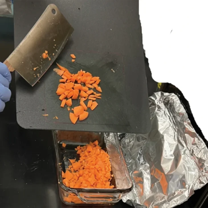 chopping-carrots-lab_s